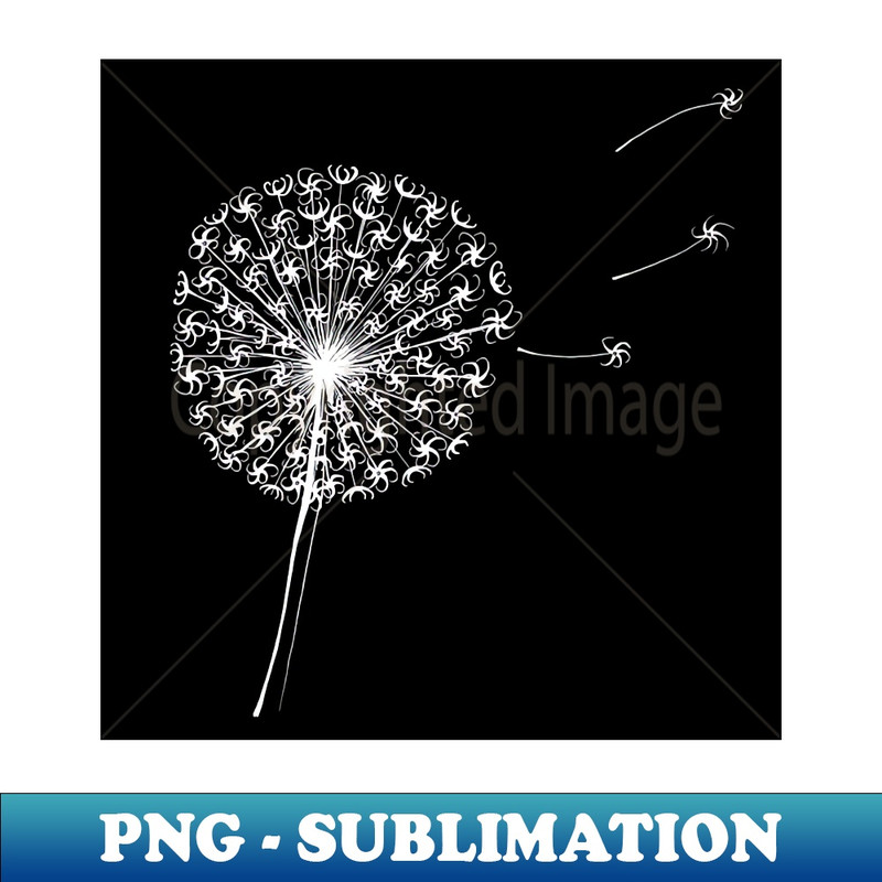 SO-20231117-3563_Dandelion Clock Silhouette Pen and Ink Drawing 7781.jpg