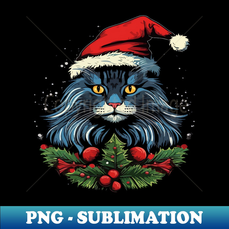 SV-20231117-9005_Maine Coon Christmas 5123.jpg