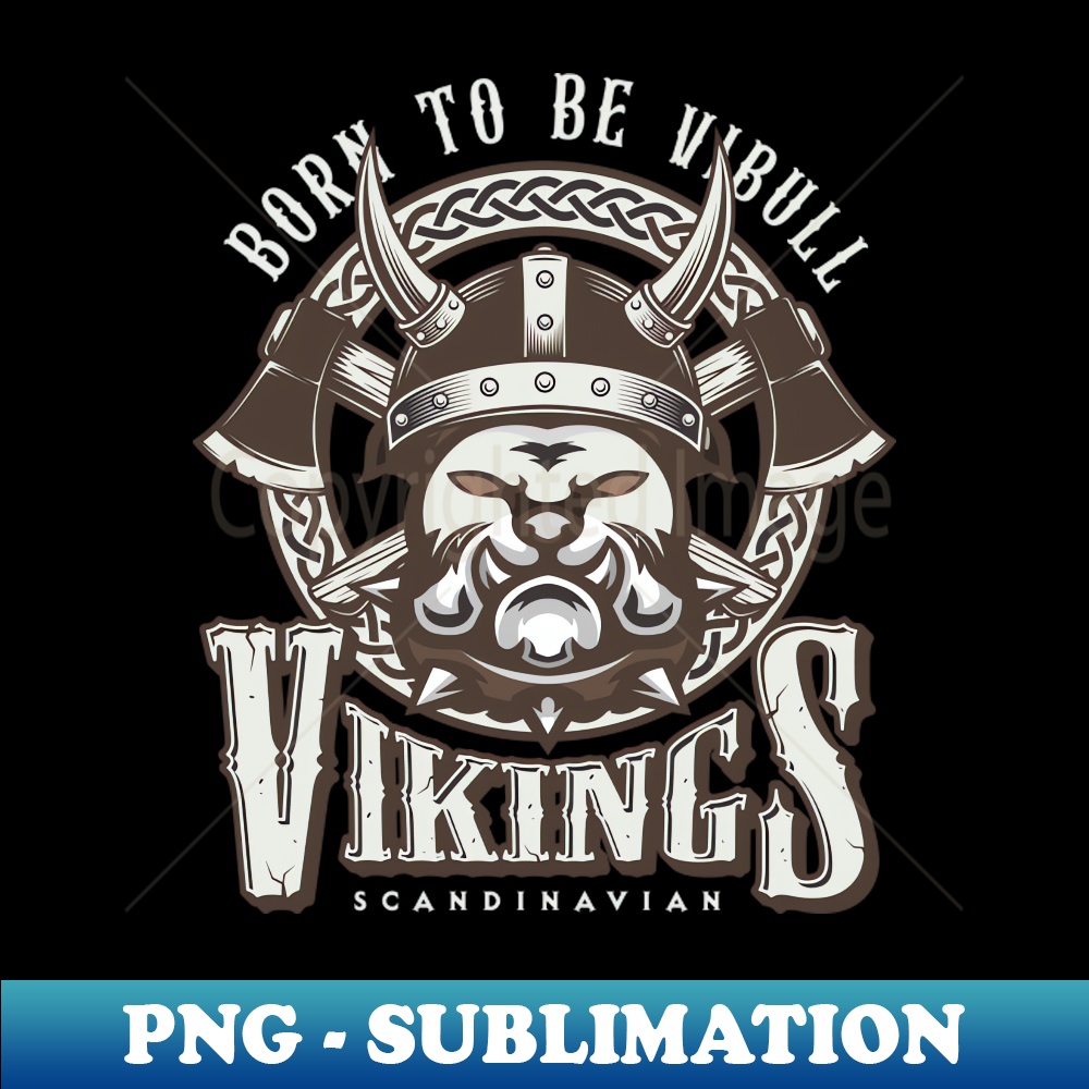 TB-20231117-15074_Vibull the viking dog 3794.jpg