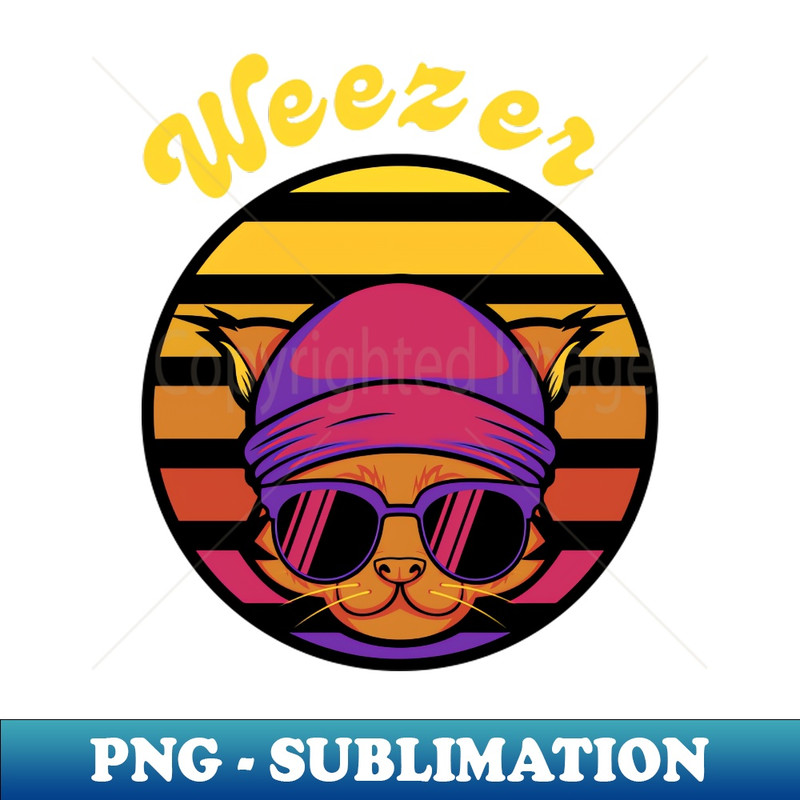 TJ-20231117-15433_weezer 7611.jpg