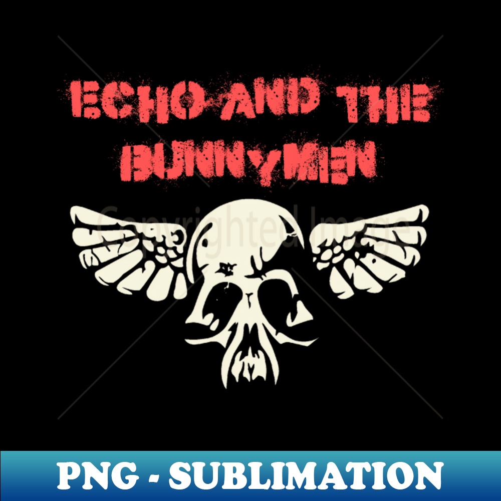 TQ-20231117-4341_echo and the bunnymen 3923.jpg