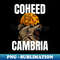 TU-20231117-3014_coheed cambria 9566.jpg
