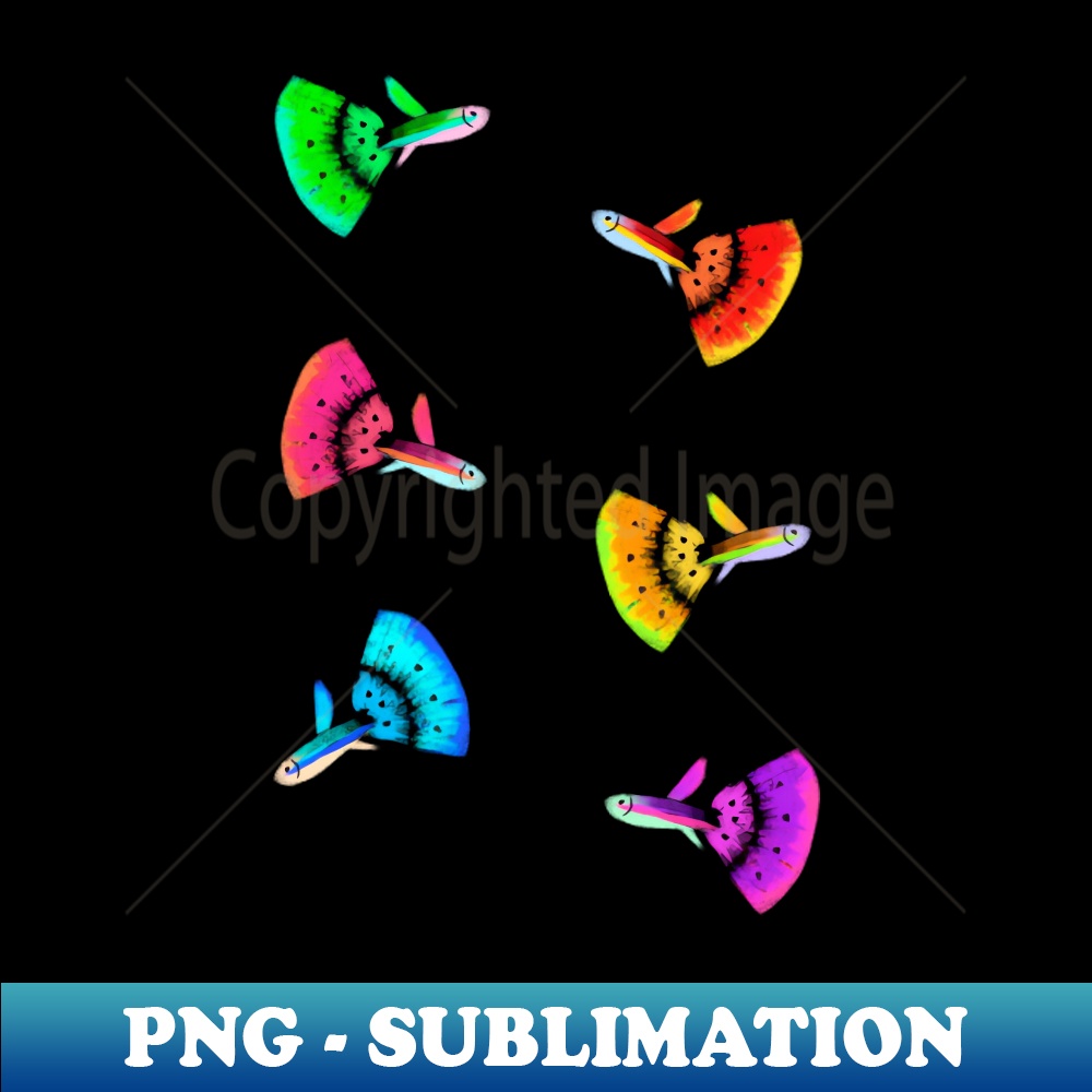 UA-20231117-3039_Colorful Guppy fish 7840.jpg