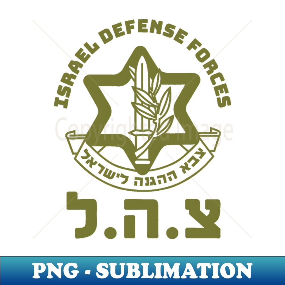 UD-20231117-7467_Israel Defense Forces IDF Hebrew Symbol for Israeli military 5808.jpg