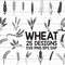 Wheat SVG Grain Svg  Wheat Clipart Cut Files Cricut Silhouette Vector.jpg