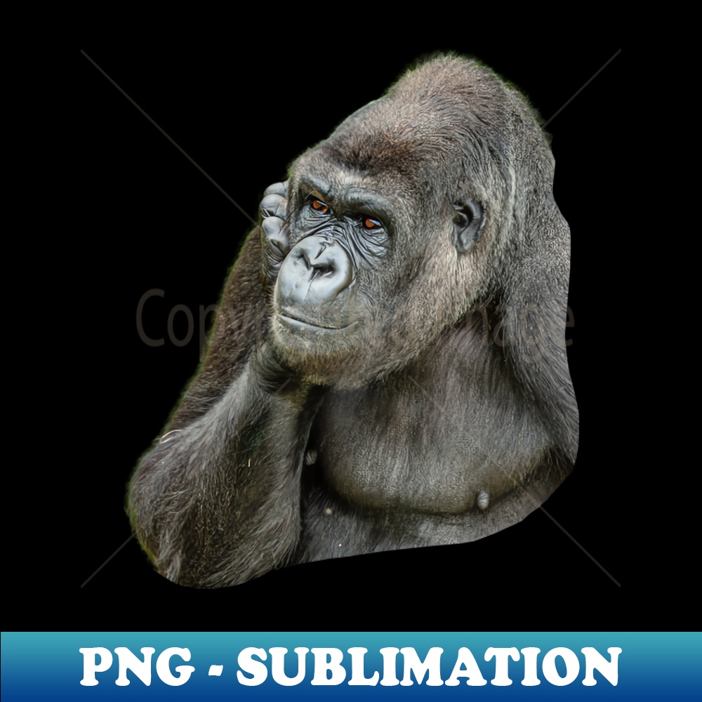 UH-20231117-3703_Deep in thought 4640.jpg