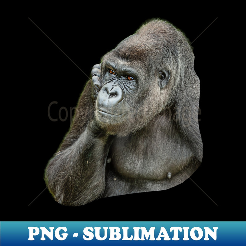 UH-20231117-3703_Deep in thought 4640.jpg