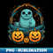 UN-20231117-6344_Harp Seal Halloween 2267.jpg