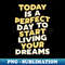 UO-20231117-14535_Today is a Perfect Day to Start Living Your Dreams 3165.jpg