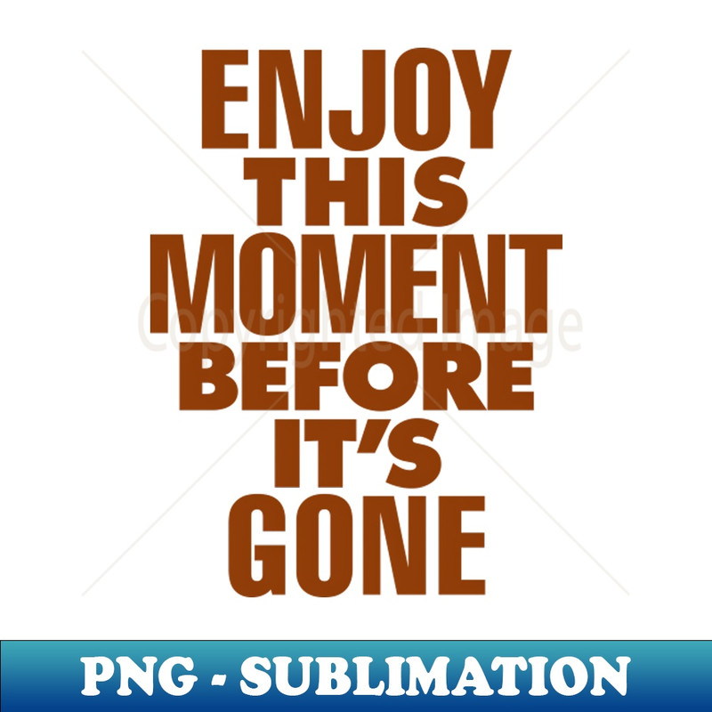 UO-20231117-4536_Enjoy This Moment Before Its Gone by The Motivated Type in Pink 9602.jpg