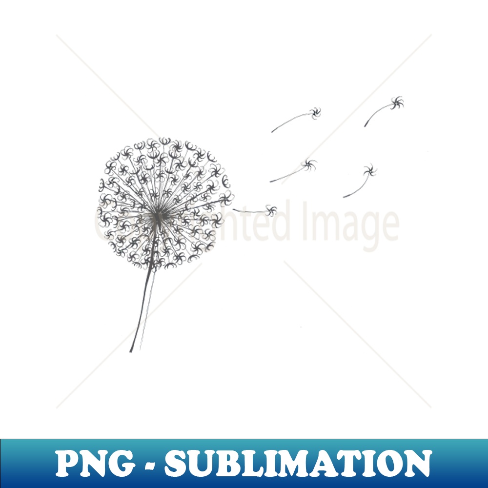UU-20231117-3562_Dandelion Clock on Pink 9757.jpg