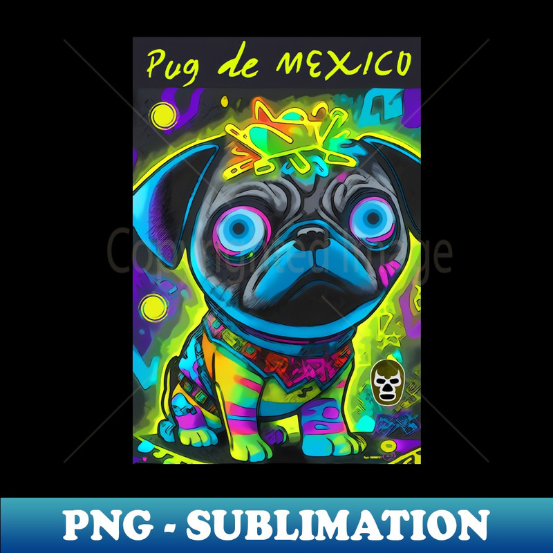 VA-20231117-11383_Pug in Mexico 12 1741.jpg