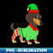 VA-20231117-3476_Dachshund In Elf Costume Christmas 3629.jpg