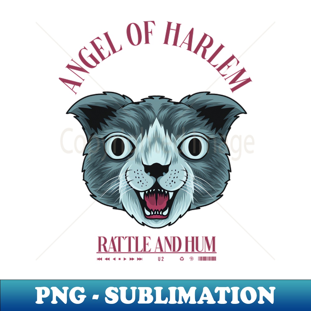 VE-20231117-802_Angel of Harlem Rattle and Hum 2854.jpg