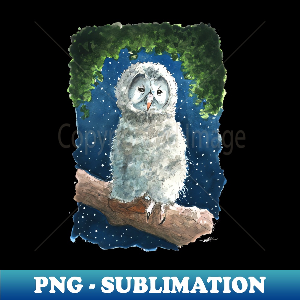 VG-20231117-10194_Night Owl Watercolors 7047.jpg