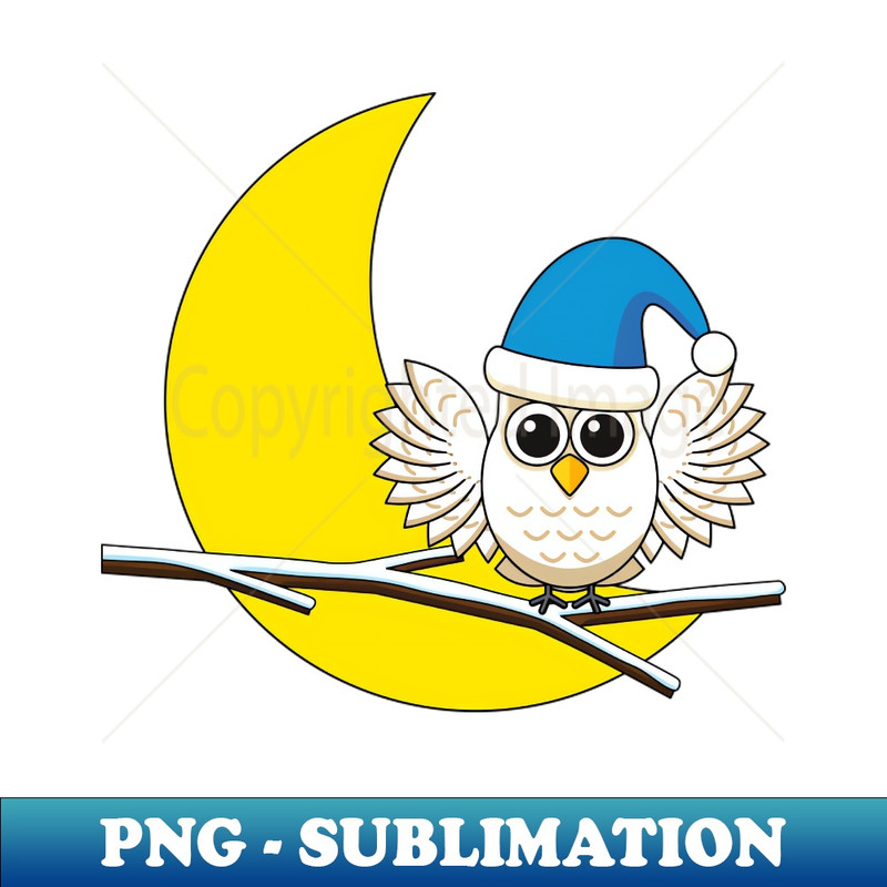 VH-20231117-12759_Snowy Owl in a New Moon Winter Night 3326.jpg