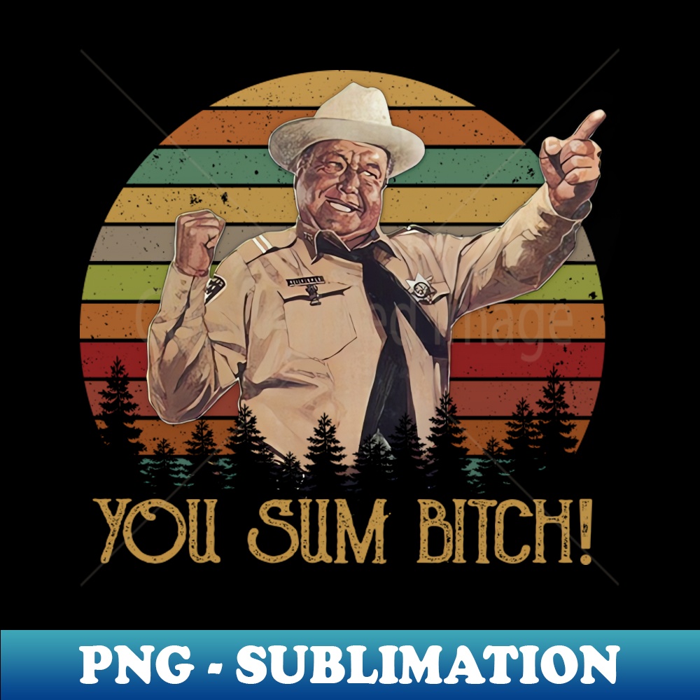 VH-20231117-15231_Vintage You Sum Bitch Design For Fans Lover 1038.jpg