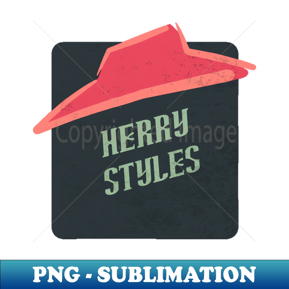 VH-20231117-6509_herry styles 5386.jpg