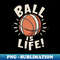 VL-20231117-1201_Ball is Life 7268.jpg