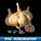 VP-20231117-5411_Garlic Bulb Embrace the Culinary Charm on a dark knocked out background 9685.jpg