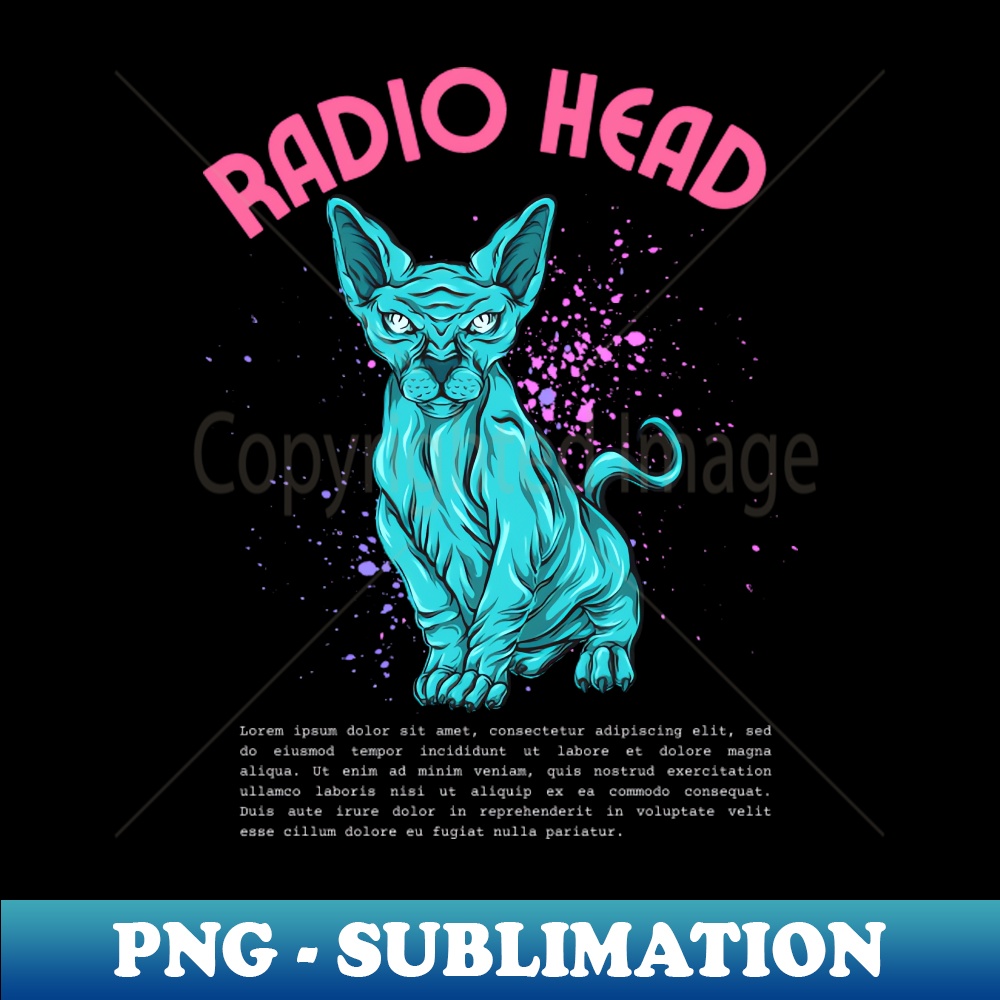 WI-20231117-11583_radio head 2552.jpg