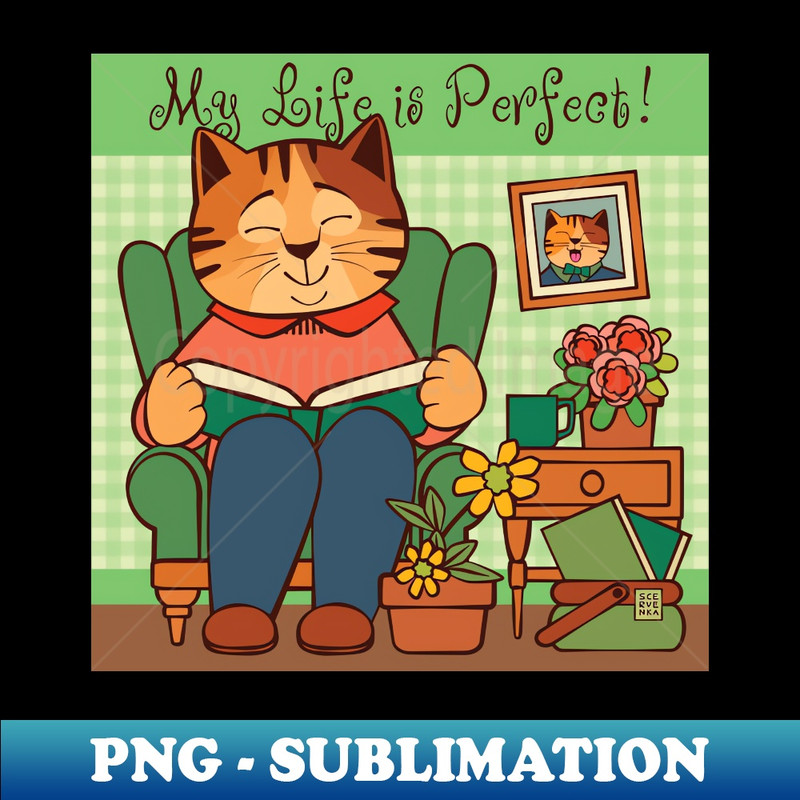 WX-20231117-8586_LIfe is Perfect Cat Reading Book at Home 8576.jpg