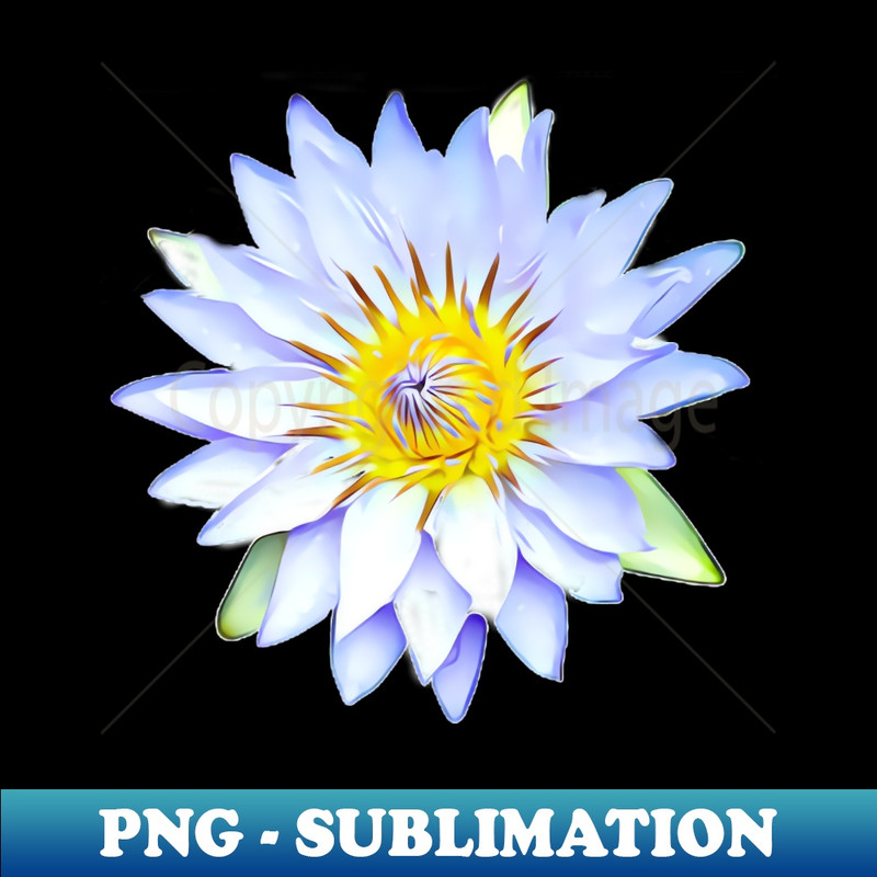 WY-20231117-15547_White Water Lily Artistic Style Pattern 6136.jpg