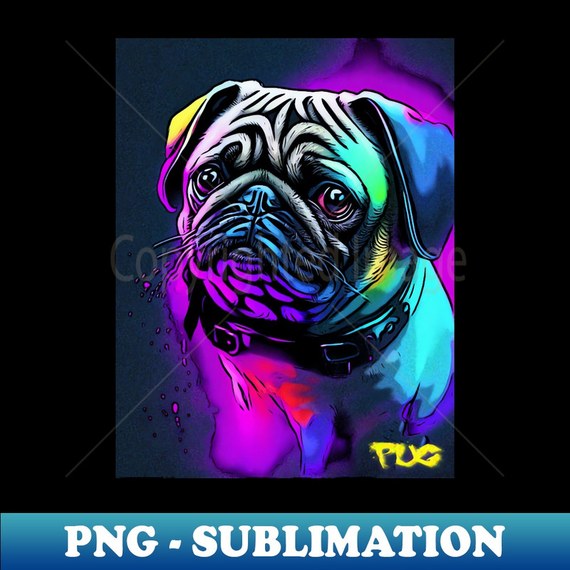 XE-20231117-11343_Pug Basquiat 2 1327.jpg