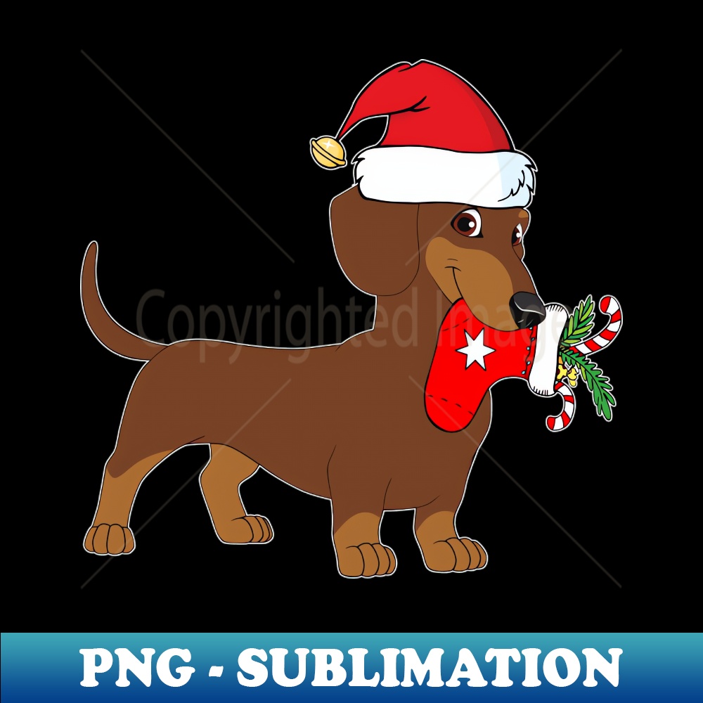 XS-20231117-3475_Dachshund Christmas Stocking Dog 5823.jpg