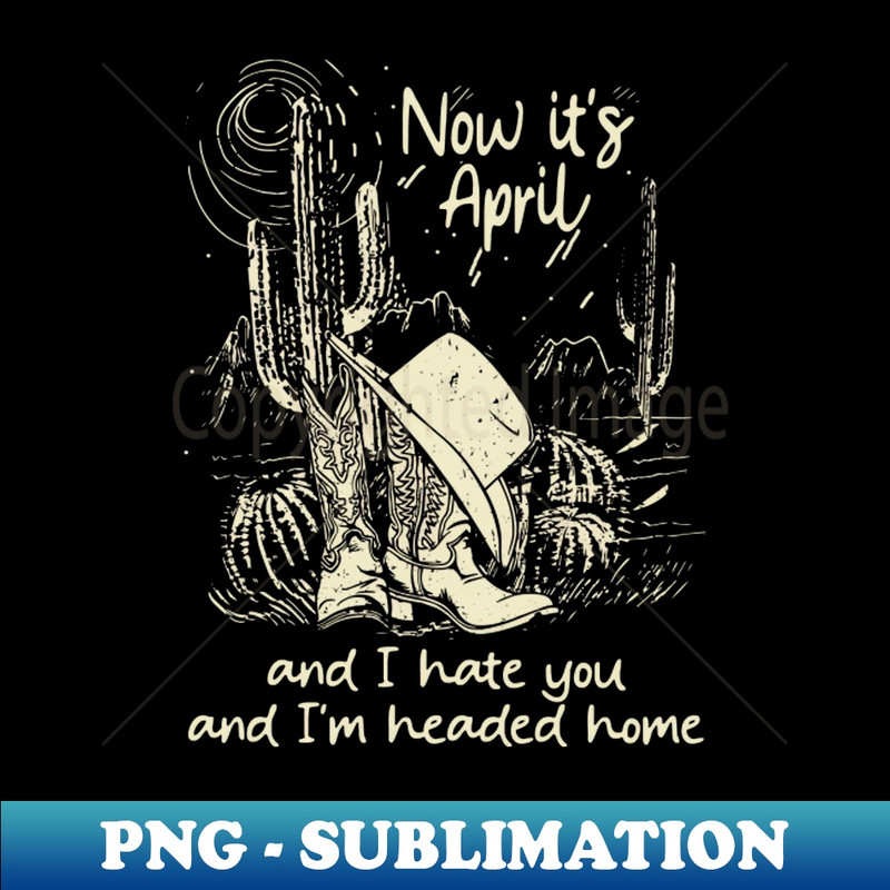 YH-20231117-10358_Now its April and I hate you and Im headed home Cactus Vintage Musics Boots 2269.jpg