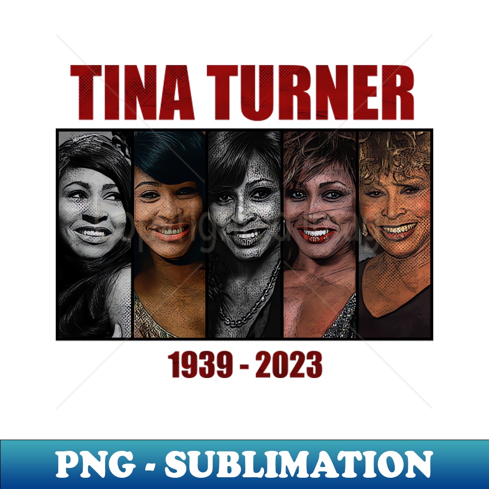 ZZ-20231117-14487_Tina Turner Evolution Photo Vintage Aesthetic Queen of rock and roll 7924.jpg