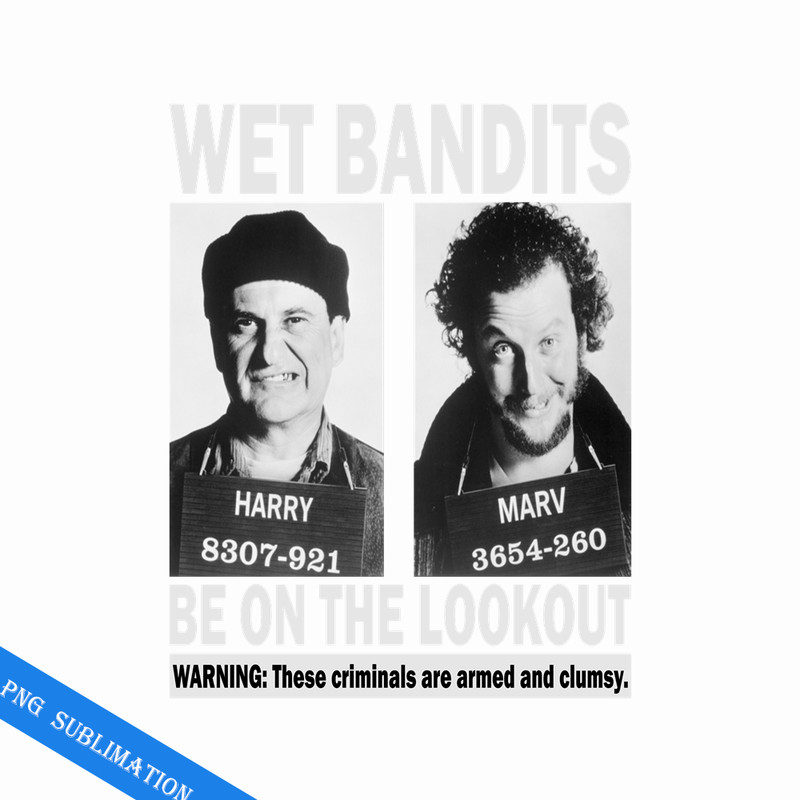 MV110823134-Wet bandits png.png