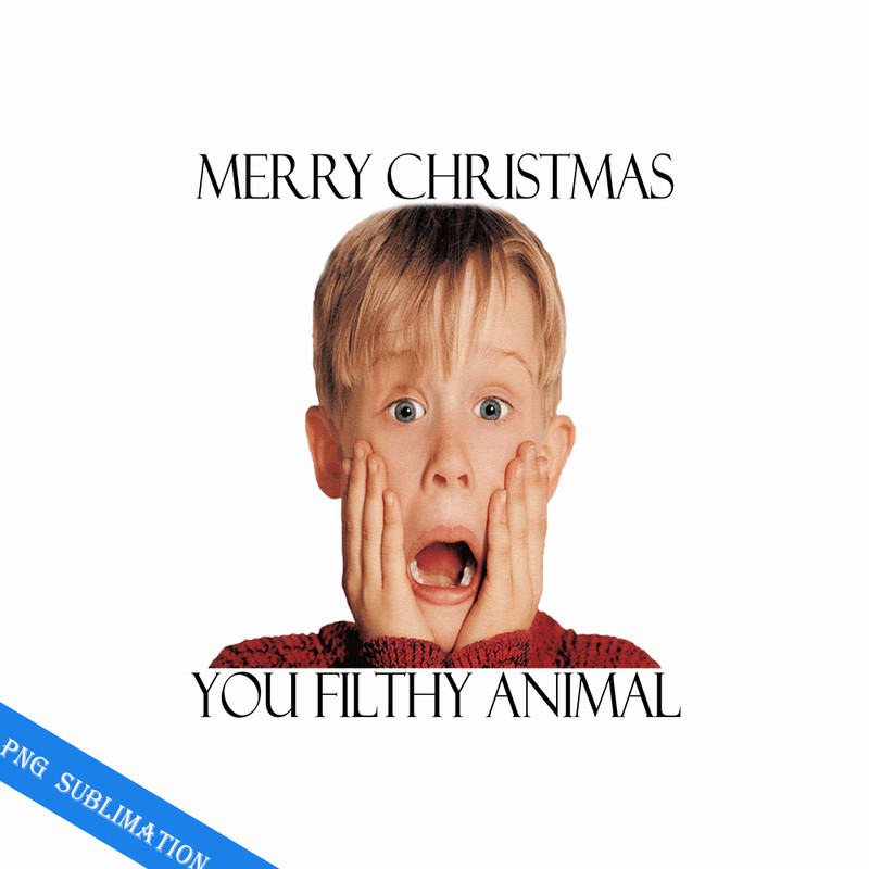 MV110823151-Home alone merry christmas ya filthy animal png.png