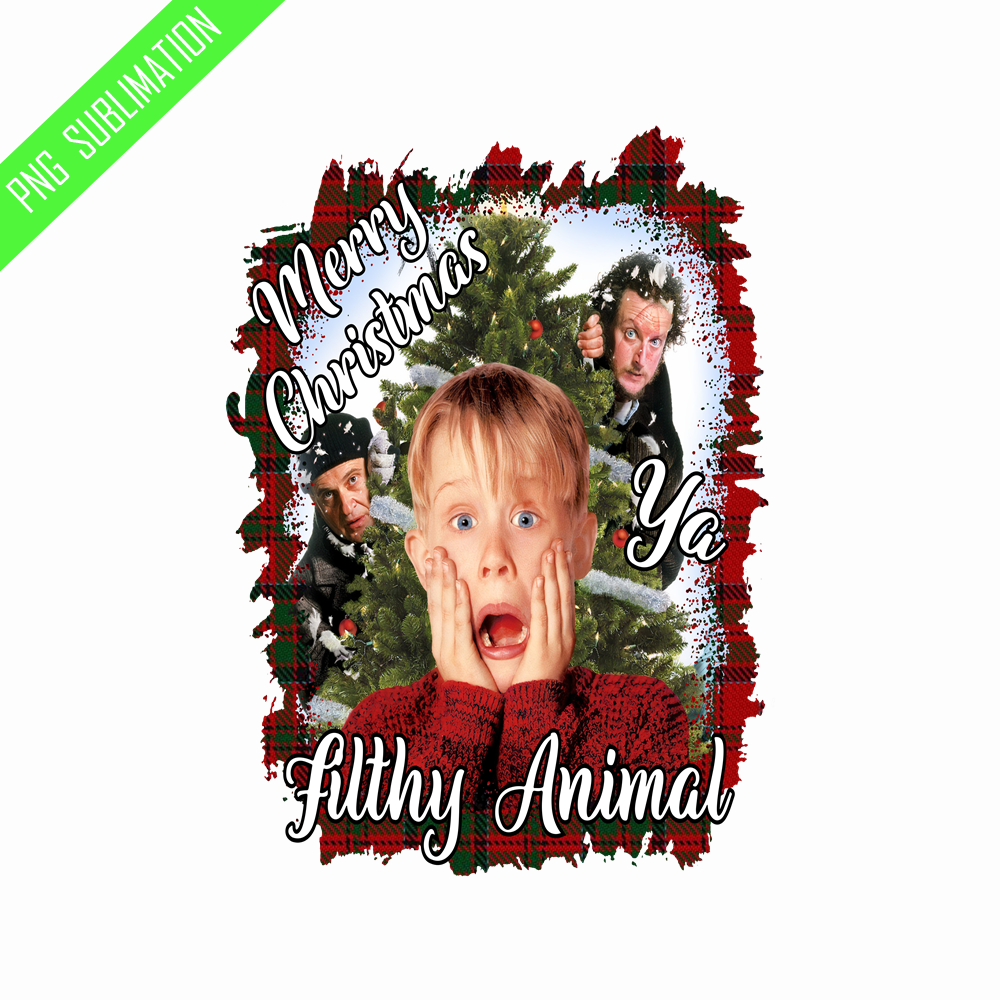 MV110823154-Home alone merry christmas ya filthy animal png.png