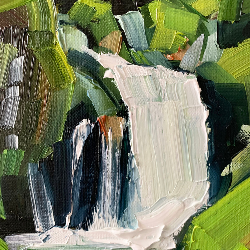 2023-09-14 08.43.50.jpg