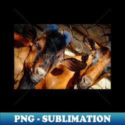 Goat head portrait photography - PNG Transparent Sublimation File - Spice Up Your Sublimation Projects