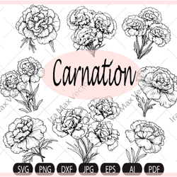Carnation Flower SVG,Carnations svg,Carnation Hand drawn,carnation Files For Silhouette,Bouquet carnations svg,Carnation