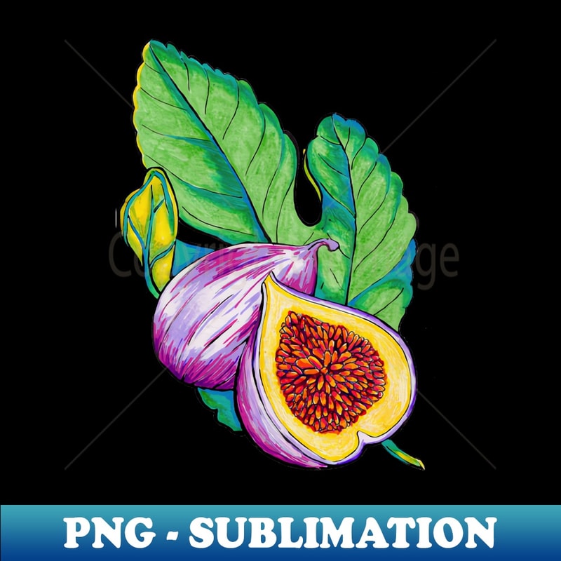 NP-20231118-11165_Fig Vintage Botanical Illustration 1053.jpg