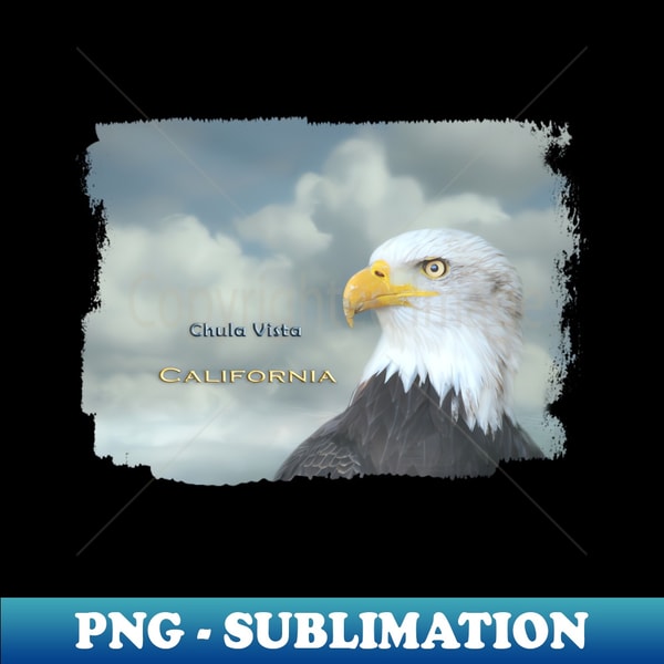 TR-20231118-2348_Bald Eagle Chula Vista CA 8502.jpg