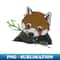 DS-20231119-11629_Cute red panda 6244.jpg