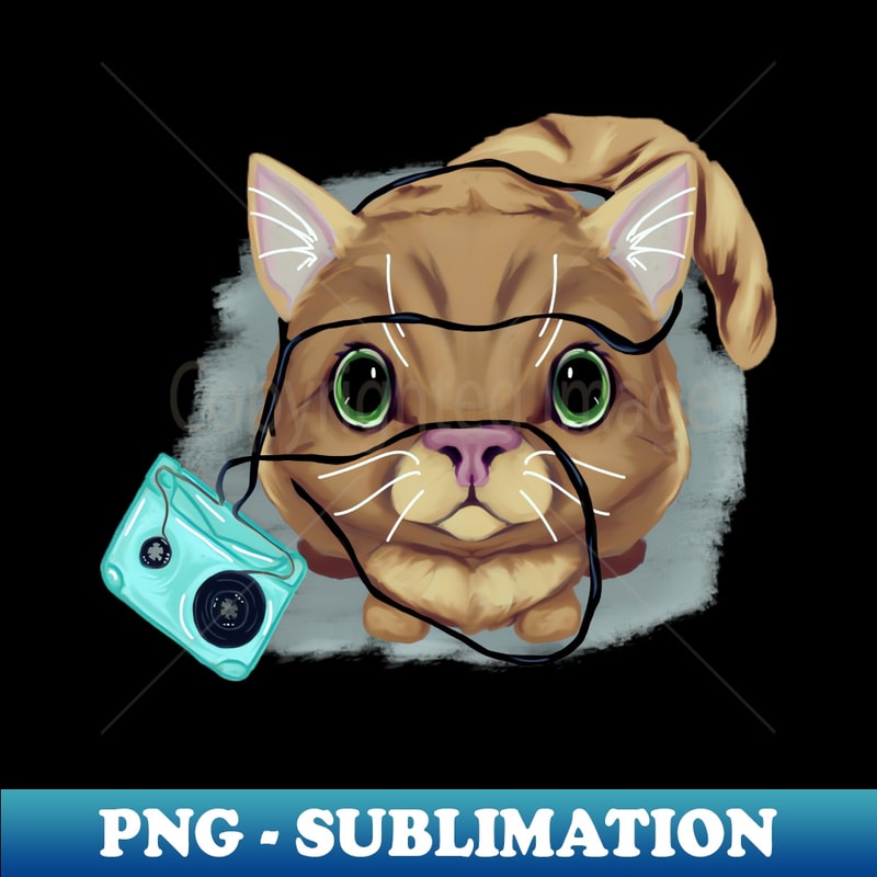 HI-20231119-11370_Cute kitten and mixtape 6328.jpg