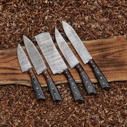 hand forged damascus chef's knife set of 5 bbq knife kitchen knife gift for her valentines gift camping knife amindustry