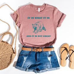 it is what it is and it is not great shirt, funny vintage drawing t-shirt, raccoon meme shirt, mood gifts, funny mood sw