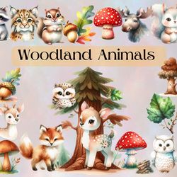watercolor woodland animals nursery clipart,clipart, png format, baby room decor, forest creatures, cute animal images
