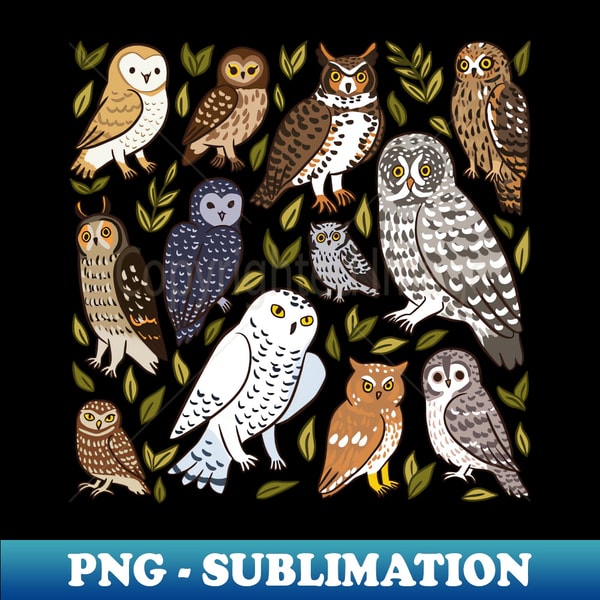 GO-20231119-20336_Cute owl kinds 7648.jpg