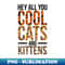 VO-20231119-17936_Cool Cats Kittens 9553.jpg