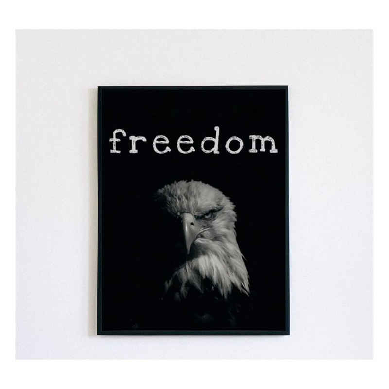 MR-2011202384653-schwarz-wei-bild-des-kopfes-eines-weikopfseeadlers-mit-der-beschriftung-freedom.jpg