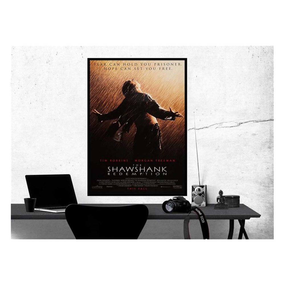 MR-2011202391226-shawshank-redemption-movie-poster-room-decor-home-decor-art-image-1.jpg