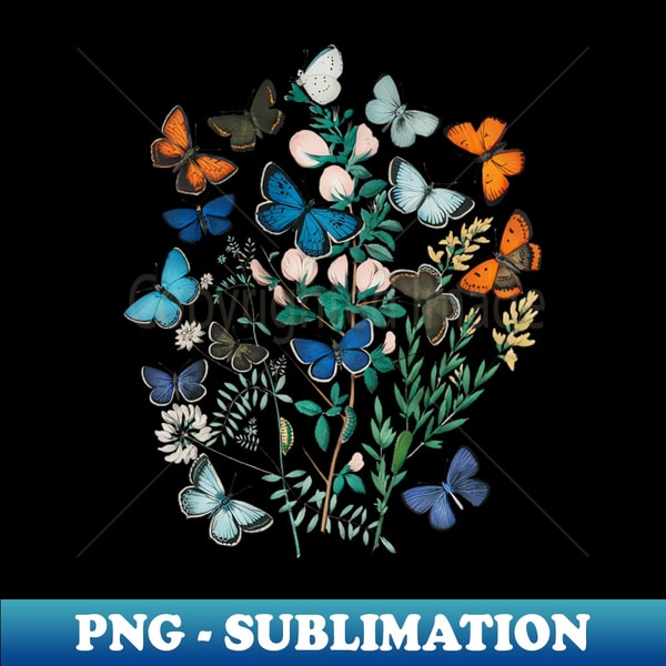 NK-20231120-29741_Lispe Butterflies Vintage 1882 European Butterfly Collection 5636.jpg