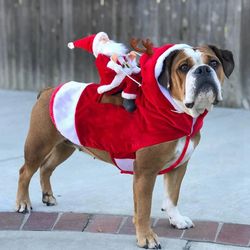 Pet Goofy Santa Sleigh Saddle Costume - Christmas Animal Clothing, Funny Halloween Cosplay, Christmas Animal Lovers,